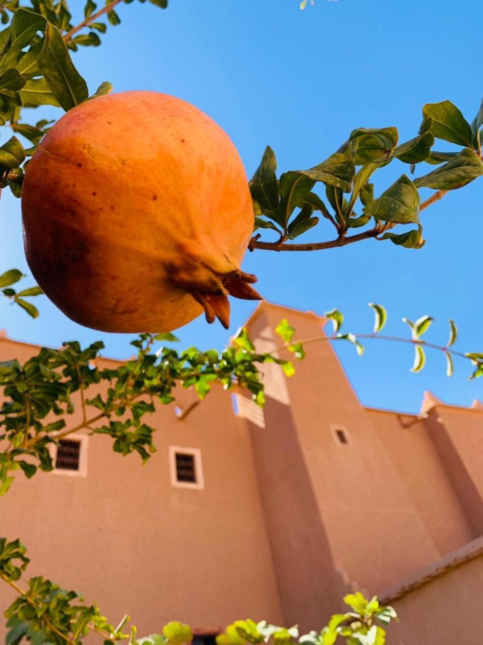 Hotel La Perle De Saghro Nkob Exterior foto